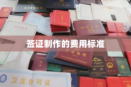 紫云签证制作的费用标准