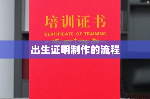 紫云出生证明制作的流程