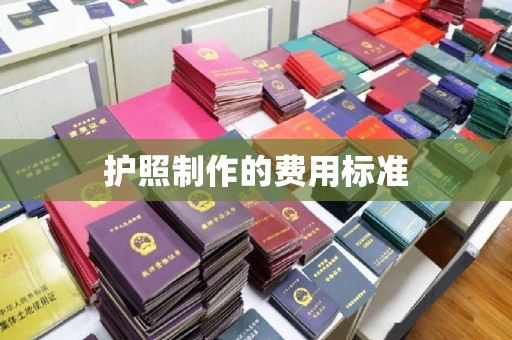 紫云护照制作的费用标准