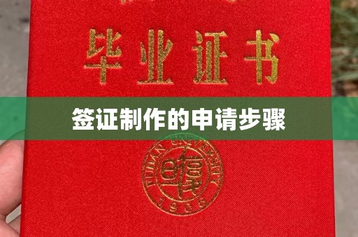 紫云签证制作的申请步骤