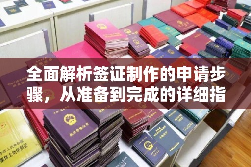 紫云全面解析签证制作的申请步骤，从准备到完成的详细指南