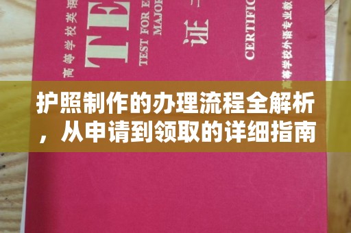 紫云护照制作的办理流程全解析，从申请到领取的详细指南