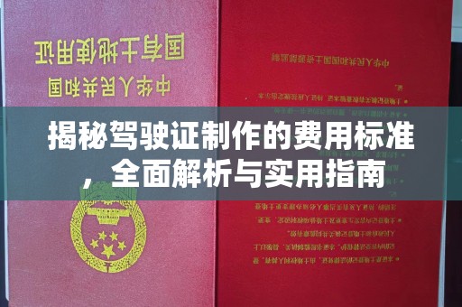 紫云揭秘驾驶证制作的费用标准，全面解析与实用指南