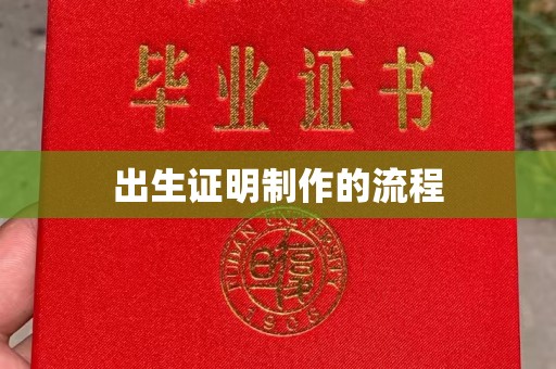 紫云出生证明制作的流程